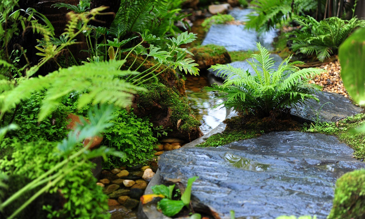 จัดน้ำตกในสวน