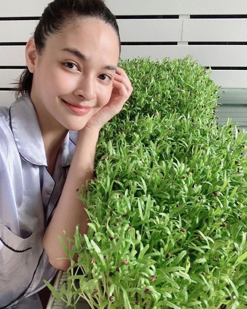 ผักบุ้ง