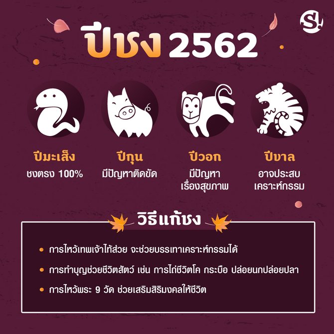 ปีชง 2562