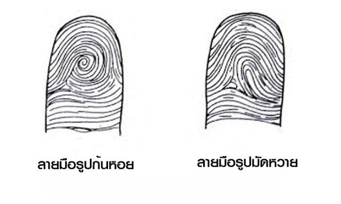 ดูลายมือจากรูปก้นหอยในนิ้ว