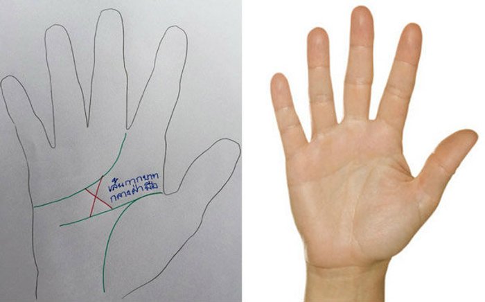 ความหมายที่ซ่อนอยู่ใน “เส้นกากบาทกลางฝ่ามือ”