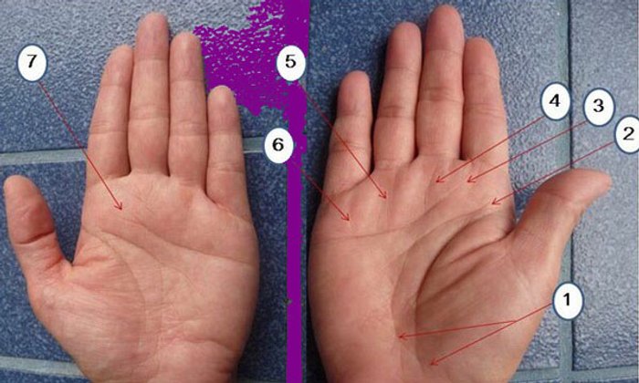 เส้นลายมือ เศรษฐี 100 ล้าน มาดูกันเร็ว