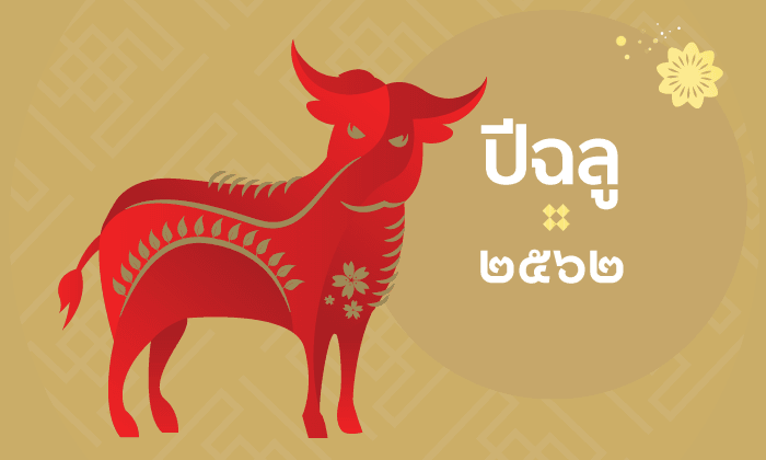 ดูดวงจีน 12 นักษัตร ปี 2562 (ปีฉลู)