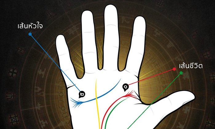 ลายมือรากไม้บอกนิสัย
