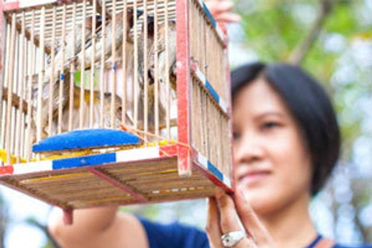 ทำบุญเสริมมงคลตาม 12 ราศี