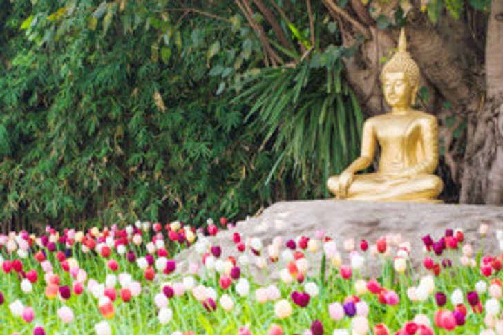ฝันเห็นพระพุทธรูปโบราณท่านว่ามีบุญ