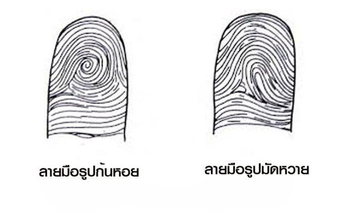 ดูลายมือจากรูปก้นหอยในนิ้ว