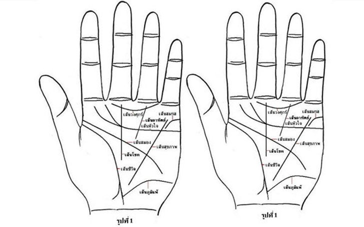 ดูลายมือ...เส้นเหล่านี้บอกอะไรเราได้บ้าง?