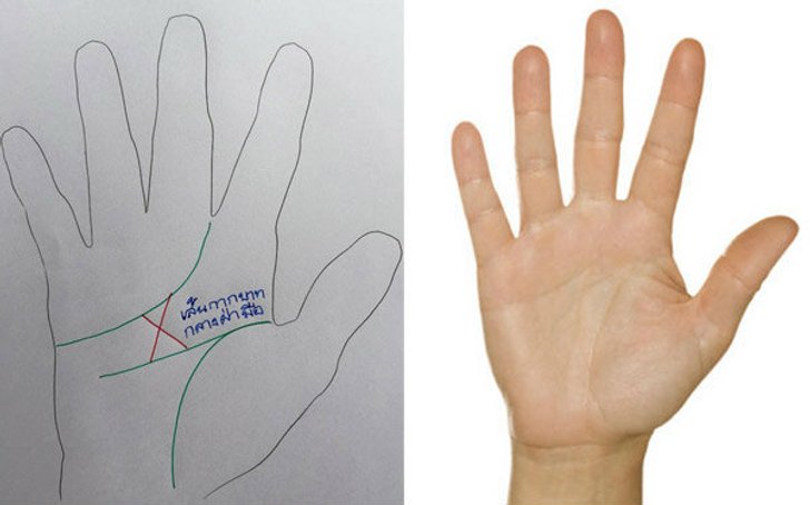 ความหมายที่ซ่อนอยู่ใน “เส้นกากบาทกลางฝ่ามือ”