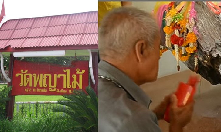 เจาะลึก “นางพญาตะเคียน” ให้ลาภเลขเด็ด!