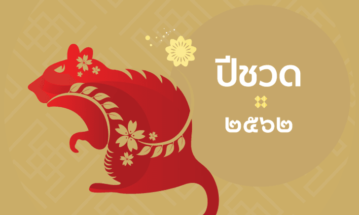 ดูดวงจีน 12 นักษัตร ปี 2562 (ปีชวด)