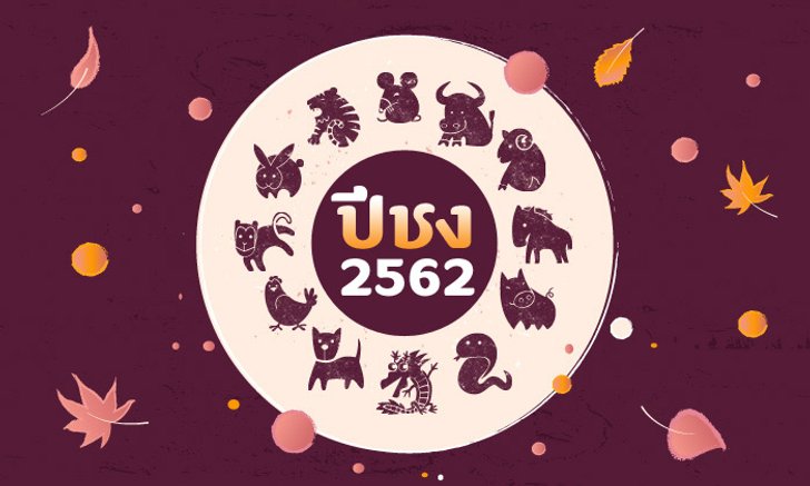 ปีชง 2562 (ปีกุน) มีปีนักษัตรไหนบ้าง พร้อมวิธีแก้ปีชง