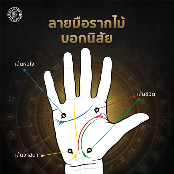 ลายมือรากไม้บอกนิสัย