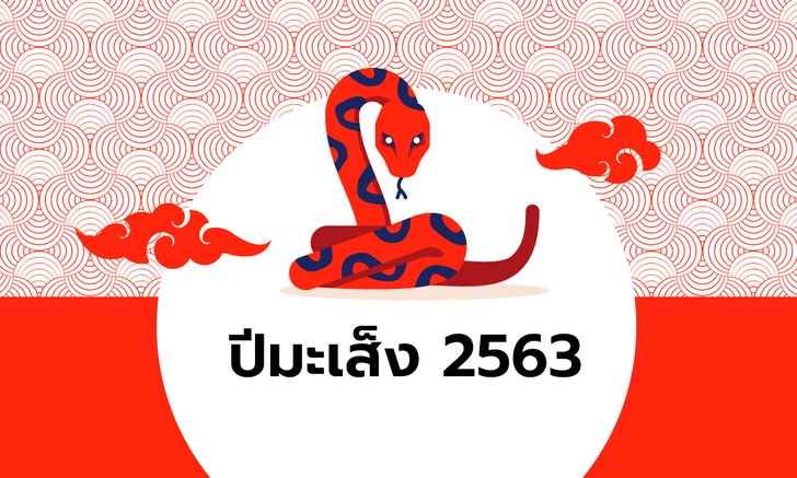 ดูดวงจีน 12 นักษัตร ปี 2563 (ปีมะเส็ง)