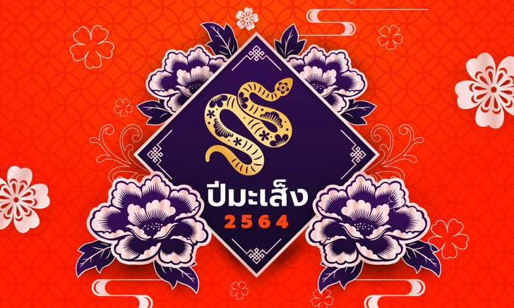 ดูดวงจีน 12 นักษัตร ปี 2564 (ปีมะเส็ง)