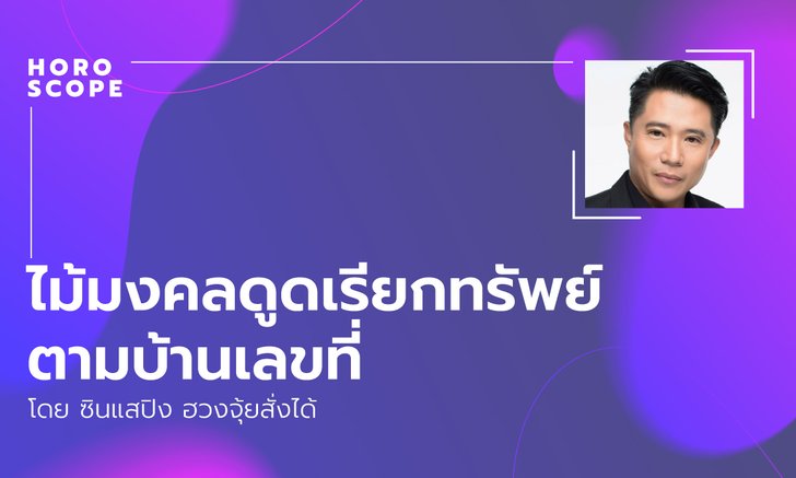 ไม้มงคลดูดเรียกทรัพย์ตามบ้านเลขที่ โดย ซินแสปิง ฮวงจุ้ยสั่งได้