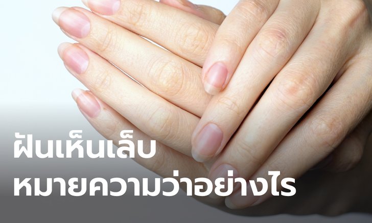 .ทำนายฝัน ฝันเห็นเล็บ ฝันเห็นเล็บมือตัวเองยาว หมายความว่าอย่างไร พร้อมเลขให้โชค.