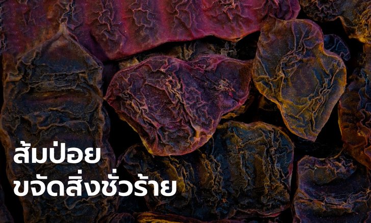 .ความเชื่อ ส้มป่อย พืชศักดิ์สิทธิ์ ใช้ในพิธีกรรมปัดเป่าสิ่งชั่วร้าย ชำระสิ่งอัปมงคล.