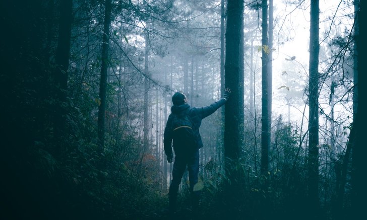 .ทำนายฝัน ฝันเห็นป่า ฝันว่าหลงป่า หมายความว่าอย่างไร พร้อมเลขให้โชค.