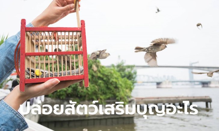 .ปล่อยสัตว์แต่ละชนิด ได้รับผลบุญเรื่องใดบ้าง.