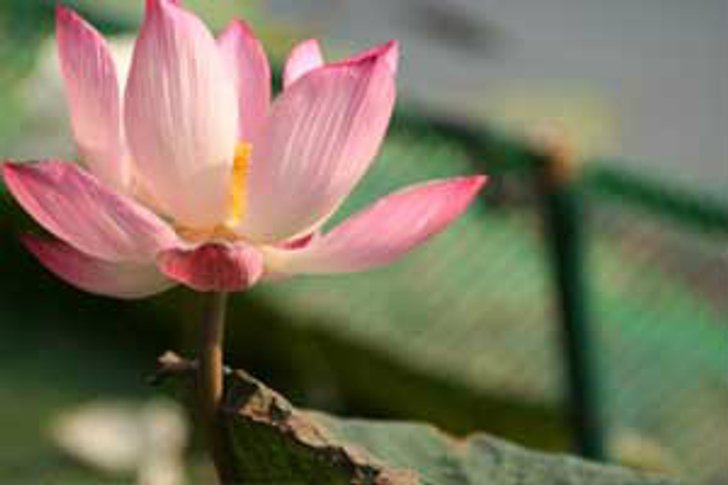 ความเชื่อคนไทย เรื่องวันต่างๆ