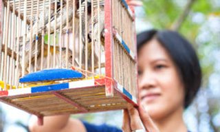 ทำบุญเสริมมงคลตาม 12 ราศี