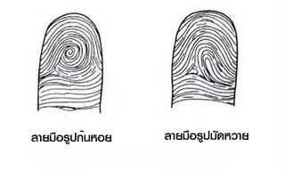 ดูลายมือจากรูปก้นหอยในนิ้ว