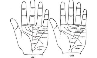 ดูลายมือ...เส้นเหล่านี้บอกอะไรเราได้บ้าง?