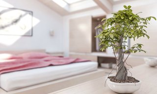 ทิศมงคลบ้านประจำปี 2559 เสริมโชคลาภเงินทองแก่ผู้อยู่อาศัย