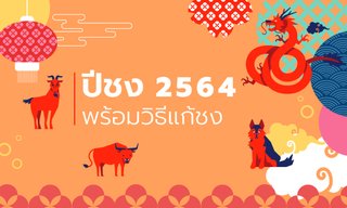 ปีชง 2564 ปีนักษัตรปีฉลู มีปีไหนชงบ้าง พร้อมวิธีแก้ปีชง
