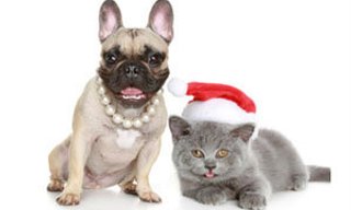 ทายนิสัยจากการตั้งชื่อสัตว์เลี้ยง