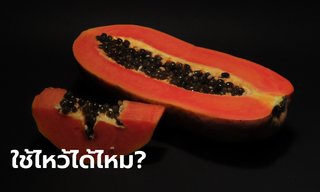มะละกอ ใช้ไหว้เจ้าที่ ไหว้สิ่งศักดิ์สิทธิ์ได้ไหม?