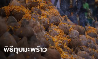 พิธีทุบมะพร้าวคืออะไร ทำไมต้องทุบมะพร้าว ที่งานแห่ประเพณีวันวิชัยทัสมิ
