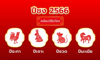 ปีชง 2566 ปีนักษัตรปีเถาะ มีปีไหนชงบ้าง พร้อมวิธีแก้ปีชง