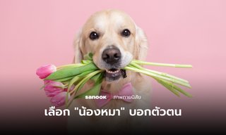 ภาพทายนิสัย คุณเป็นคนรักแบบไหน บอกได้จาก “น้องหมา” ที่คุณเลือก