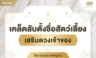 ชื่อดีมีเฮง !! เคล็ดลับตั้งชื่อสัตว์เลี้ยงเสริมดวงเจ้าของ