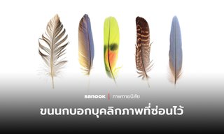 ทายนิสัย ขนนกที่คุณเลือก บ่งบอกถึงบุคลิกภาพที่ซ่อนอยู่ในตัวคุณ