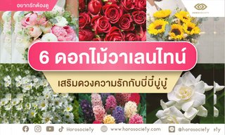 6 ดอกไม้วาเลนไทน์เสริมดวงความรักกับ บี่บี๋ บู่บู๋ ที่รัก
