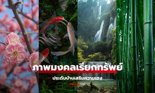 ภาพมงคลเรียกทรัพย์ ติดบ้าน ประดับภาพไหนบ้างเพื่อเสริมความเฮง