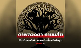 ภาพลวงตา สัตว์ตัวแรกที่เห็น บ่งบอกอะไรเกี่ยวกับตัวคุณได้บ้าง