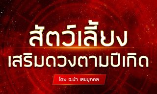 สัตว์เลี้ยงเสริมดวงตามปีเกิด โดย อ.นำ เสขบุคคล