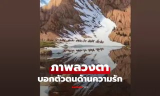 ภาพลวงตา เห็นอะไรก่อน เปิดเผยตัวตนของคุณในด้านความรัก