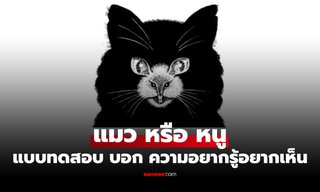 คุณเห็น "แมว" หรือ "หนู" ก่อนกัน แบบทดสอบภาพลวงตา บอกระดับ "ความอยากรู้อยากเห็น" ในตัว