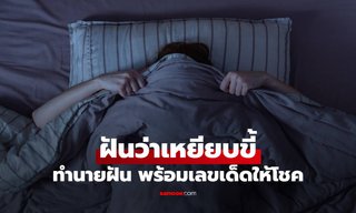 ฝันว่าเหยียบขี้ ทำนายฝันหมายความว่าอย่างไร พร้อมเลขเด็ดให้โชค