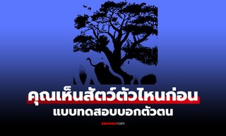 แบบทดสอบ ภาพลวงตา คุณเป็นคนที่ใช้ "เหตุผล" หรือ "อารมณ์" นำทางชีวิต