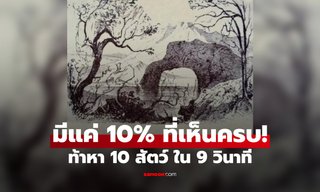 มีเพียง 10% ที่มองเห็นครบ! แบบทดสอบ หาสัตว์ 10 ตัว ในภาพลวงตา 9 วินาที
