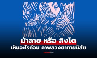 ม้าลาย หรือ สิงโต แบบทดสอบทายนิสัย บ่งบอกถึงบางสิ่งเกี่ยวกับตัวคุณ