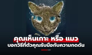 คุณเห็นอะไรก่อนกัน แมว หรือ เกาะ บ่งบอกถึงวิธีรับมือกับความกดดันของตัวคุณเอง