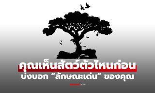 มีสัตว์ 4 ตัวในภาพนี้ คุณเห็นอะไรก่อน เปิดเผยถึง “ลักษณะเด่น” ของตัวคุณ