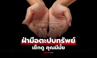 เช็กดู คุณมีมั้ย "ฝ่ามือตะปบทรัพย์" ลักษณะเด่นของคนมั่งคั่ง วาสนาดี